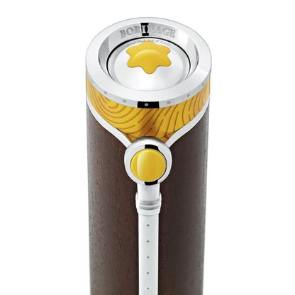 Roller Montblanc Masters of Art Hommage à Vincent van Gogh Édition limitée 4810 129156