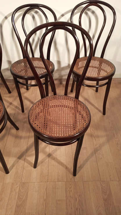 Set di 5 sedie in stile thonet drava con sedili in canna intrecciata in legno curvato classico