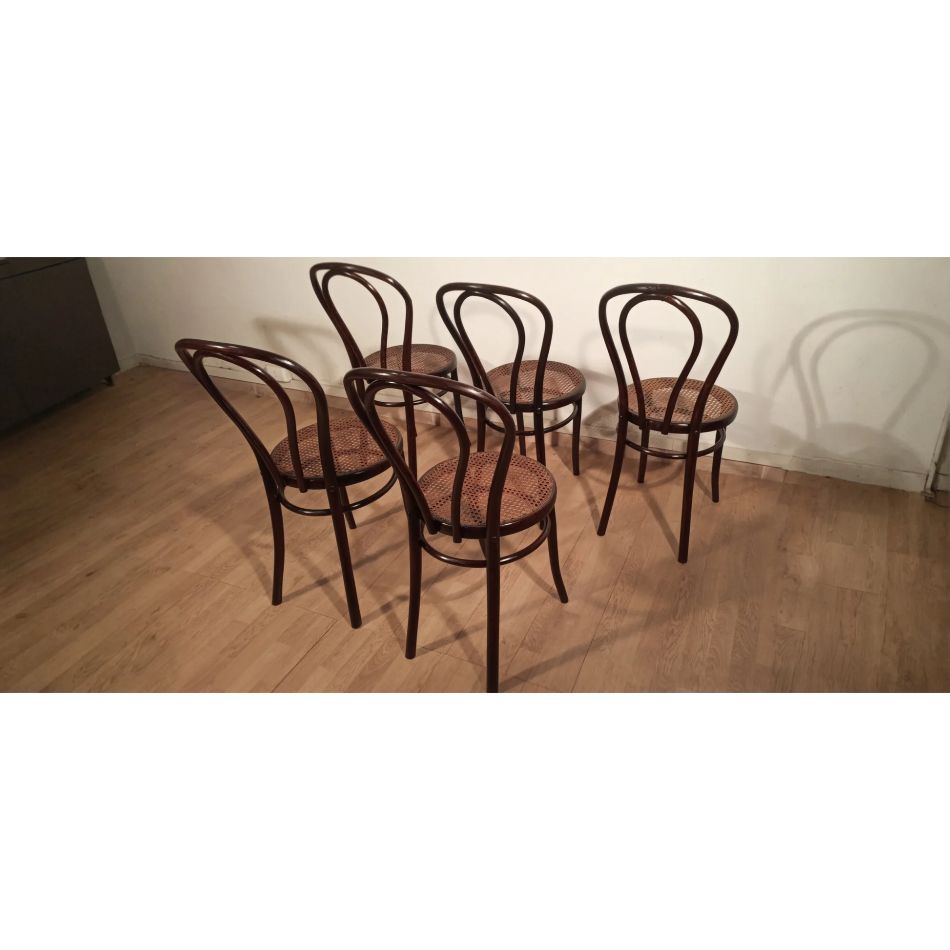 Set di cinque sedie in stile Thonet Drava con sedute impagliate