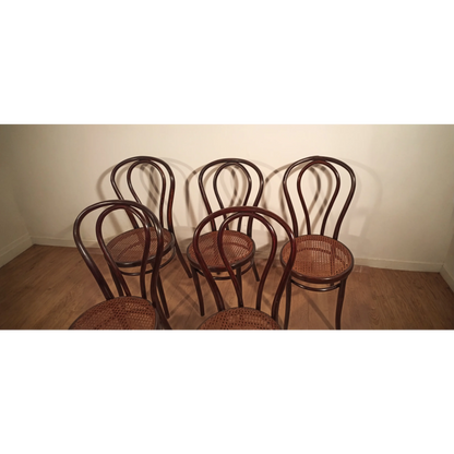 Set di sedie in stile Thonet Drava con seduta in midollino e schienale curvo